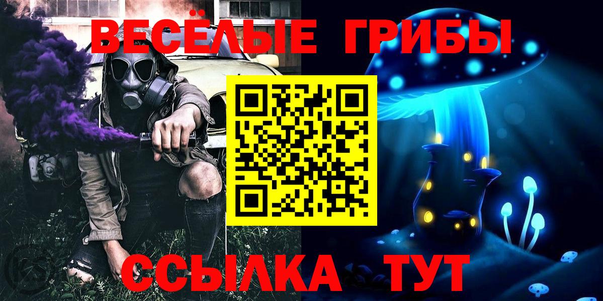 Галлюциногенные грибы ЛСД Гусиноозёрск