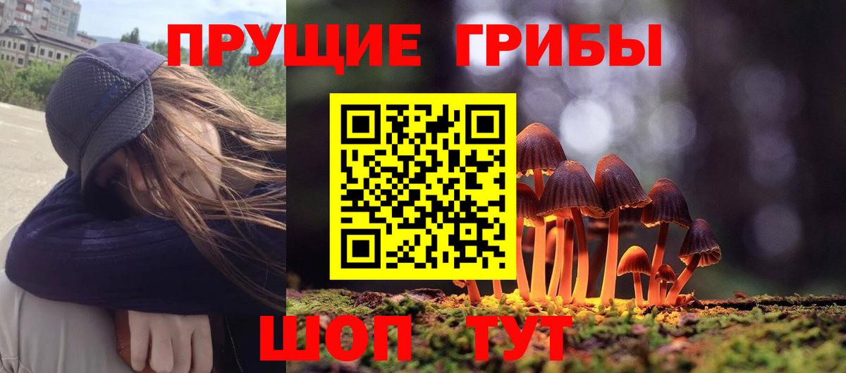 Гусиноозёрск  Галлюциногенные грибы Cubensis  Вход с VPN 